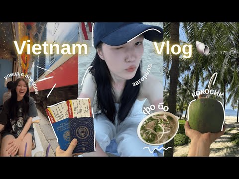 Видео: ВЛОГ: Ханой + Дананг. Впервые во Вьетнаме🇻🇳
