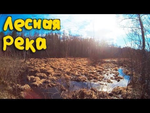 Видео: Лесная река Винчугаров