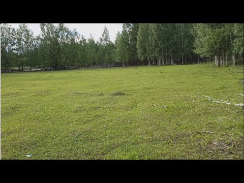 Видео: Два дня копа в окрестностях старой фермы. ТОП находки. Досадные потери и новый инструмент.