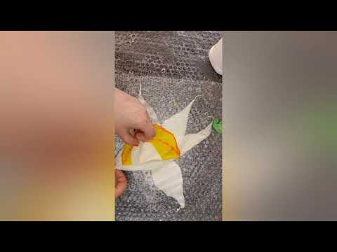 Видео: Мастер класс валяние цветка Нарцисс Часть 2