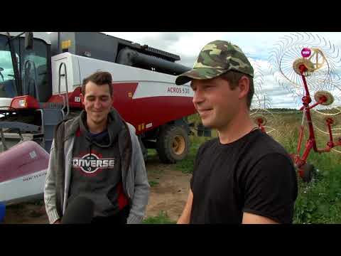 Видео: Дороги деревенские 28.08