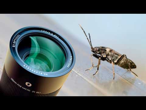 Видео: МАКРООБЪЕКТИВ, КОТОРЫЙ ВЫ МОЖЕТЕ СЕБЕ ПОЗВОЛИТЬ! 💵 (TTArtisan 100mm f2.8 MACRO 2X)