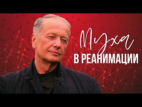 Видео: Михаил Задорнов - Муха в реанимации |  Лучшее из юмористических концертов @BestPlayerMusic