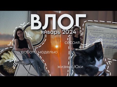 Видео: ВЛОГ сессия, работа моделью, жизнь с котёнком | январь 2024