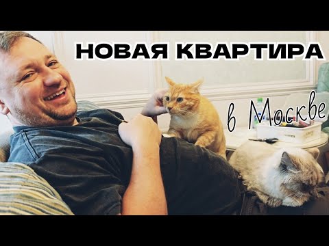 Видео: Московские Будни 🚚  НОВАЯ КВАРТИРА Переезд с КОТАМИ 🤯 Готовим СТУДИЮ под сдачу 🏕️ Палатку на зимовку