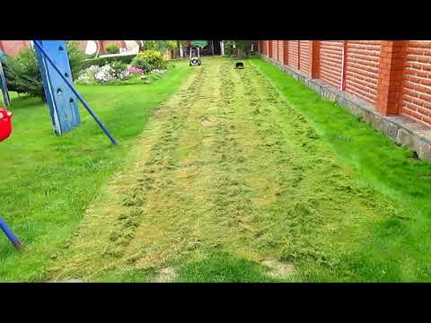 Видео: Уход за газоном. ПОЧЕМУ ЖЕЛТЕЕТ ГАЗОН, ЧТО ДЕЛАТЬ. Обновление газона после лета.