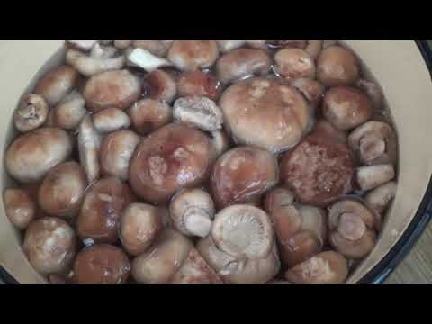 Видео: Солим кульбики. Наш способ.