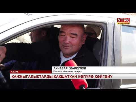 Видео: Канжыгалыктарды какшаткан көпүрө көйгөйү