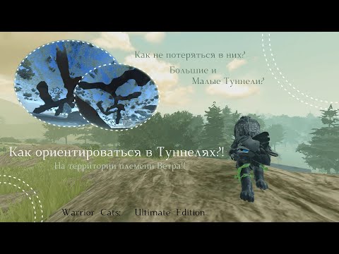 Видео: КАК ОРИЕНТИРОВАТЬСЯ В ТУННЕЛЯХ?! В WC:UE! | Факты/Рассказ | Warrior Cats: Ultimate Edition