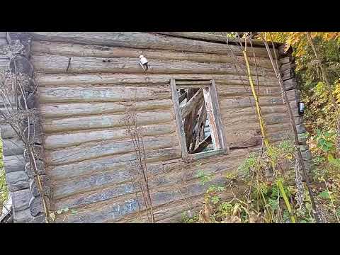 Видео: 19 сентября 2025 г.