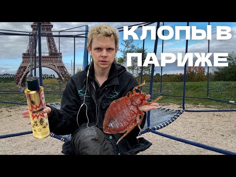 Видео: КЛОПЫ В ПАРИЖЕ | 3 МЕСЯЦА БОРЬБЫ