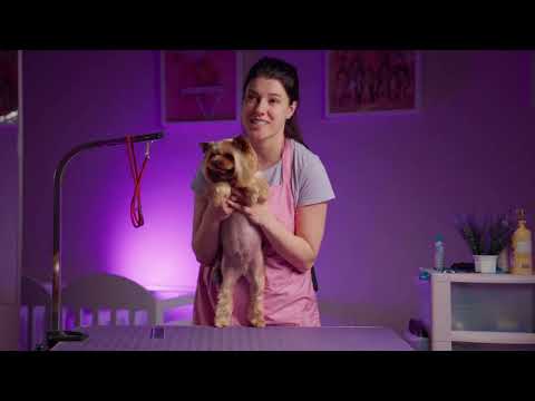 Видео: Стрижка Йорка в Азиатском стиле