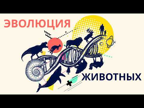 Видео: Как природа придумала миллионы существ? - Эволюция животных | Terra Sense