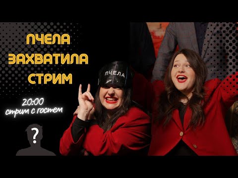 Видео: Пчела захватила стрим! В гостях - Гаджет.