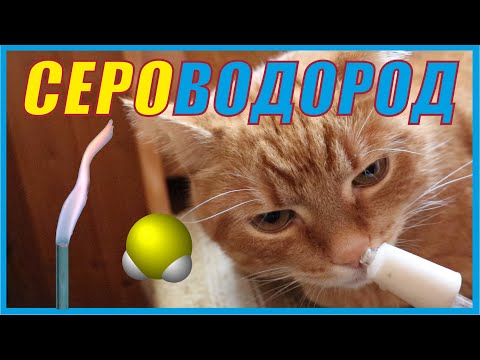 Видео: Сероводород. Яд, который всегда с тобой. Как получить самый дорогой сульфид и месть строителей.