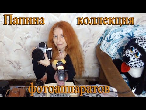 Видео: ASMR camera collection/АСМР коллекция фотоаппаратов/Шепот/Триггеры