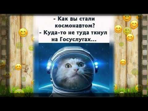 Видео: 🔴 НОВАЯ  ПОДБОРКА  ШУТОК и  ПОЖЕЛАНИЙ  🔴 Перезапуск #017  😁 Только для самых умных 🧠🧠🧠🧠🧠