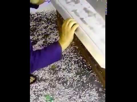 Видео: Изготовление кассет из композита