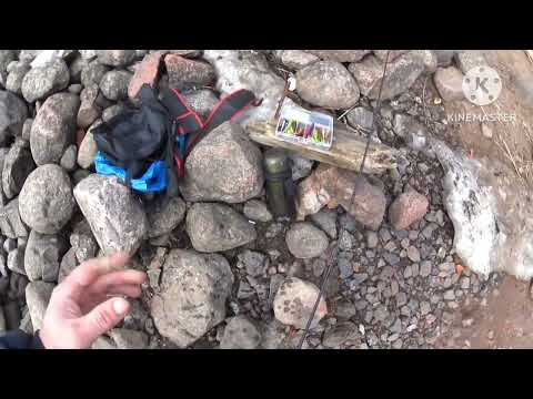 Видео: 31 марта 2024 г.