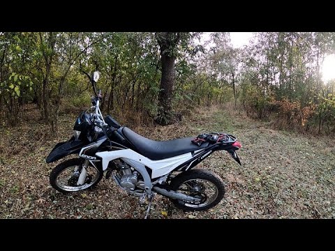 Видео: Обзор мотоцикла LONCIN LX 300 после 20000 км пробега