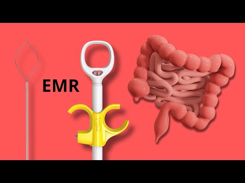 Видео: EMR. ГБУЗ «Городская больница №1 им Н.И.Пирогова» (Севастополь)