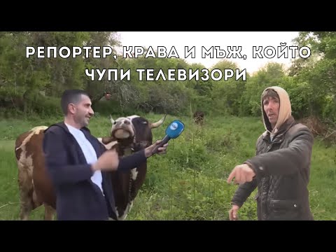 Видео: Компилация - Съдебен спор |Епизод-04|