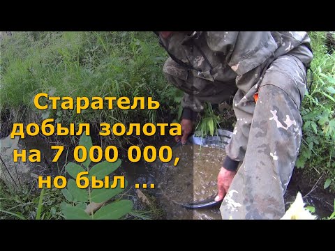 Видео: Золото на 7 миллионов добыл старатель, но был ...