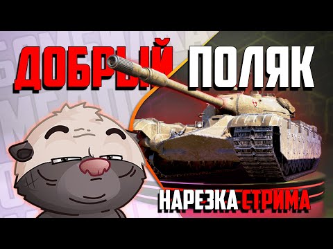 Видео: Нарезка стрима | Поляк-добряк