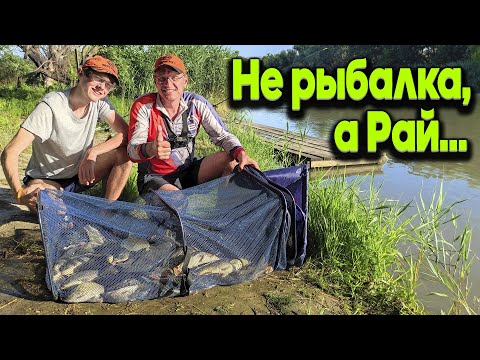Видео: Как ловить сазанов на Турунчуке - оснастка Дяди Фёдора! Чудесное озеро, окуни и итог нашей рыбалки!