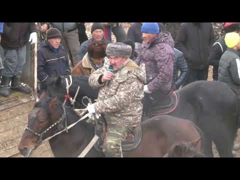 Видео: Көкпар 87 лер Алатау