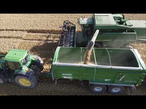 Видео: Уборка озимой пшеницы / Ziemas kviešu kulšana / Wheat harvest 2024.