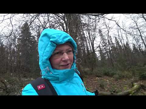 Видео: Поход на Гляденовское городище. Пермский край. 19 окт 2019