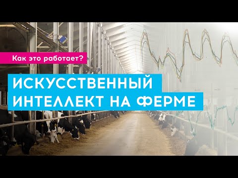 Видео: Искусственный интеллект на ферме | Как это работает