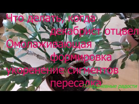 Видео: Формировка декабриста (Шлюмбергер) в подробностях