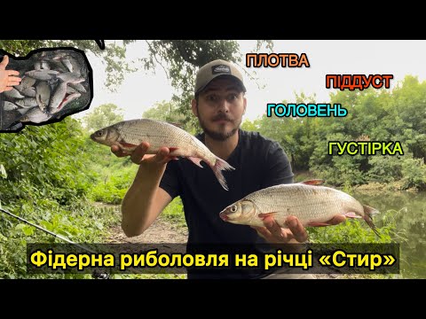 Видео: 🎣 Фідерна риболовля на річці Стир | Як збільшити розмір риби на точці?