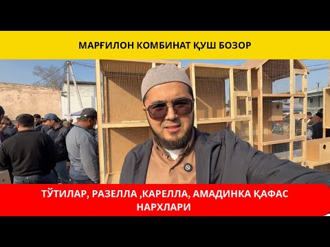 Видео:  МАРҒИЛОН КОМБИНАТ ҚУШ БОЗОР | ( ПОПУГАЙ ) ТЎТИЛАР, ҚУШ ҚАФАС НАРХЛАРИ