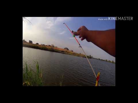 Видео: Рыбалка в  Алматы.Ловля Толстолоба