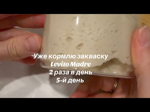 Видео: День 5. Моя Lievito Madre