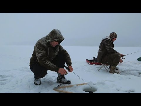 Видео: Еду на горные озера. Волки. Рыбалка.