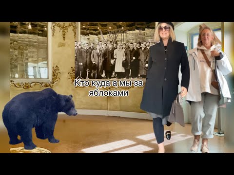 Видео: Почувствовать Италию на вкус,запах,тепло и стиль @zvezdamojaludi 