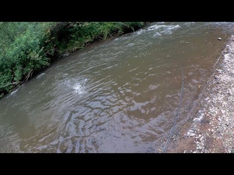 Видео: ЛЕНОК НА СПИННИНГ. РЫБАЛКА В КАЙФ НА ГОРНОЙ РЕЧКЕ.