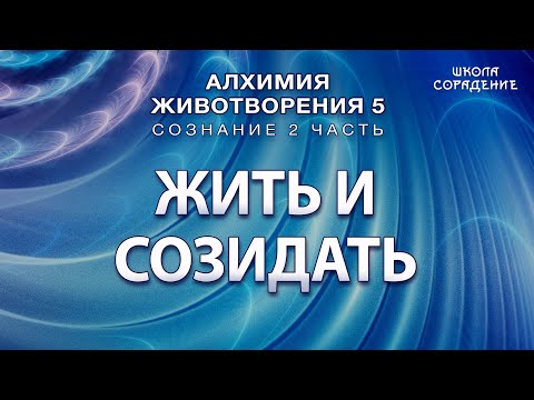 Видео: Жить и созидать #Гарат #АЖ5  #Сознание #ЖивыеСеминары #школаСорадение