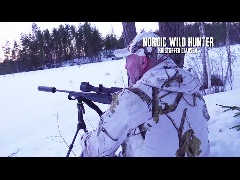 Видео: Охота на косулю, оленя и лося. Охотничьи приключения в Норвегии (NORDIC WILD HUNTER)