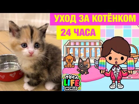 Видео: 24 ЧАСА УХАЖИВАЮ за СПАСЁННЫМ КОТЁНКОМ в ТОКА БОКА 😿🍼🍭 Toca Life World