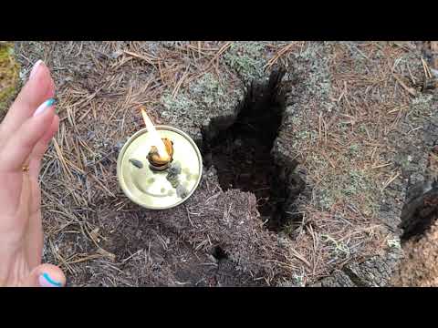 Видео: Ритуал от Колдовства и любой магии