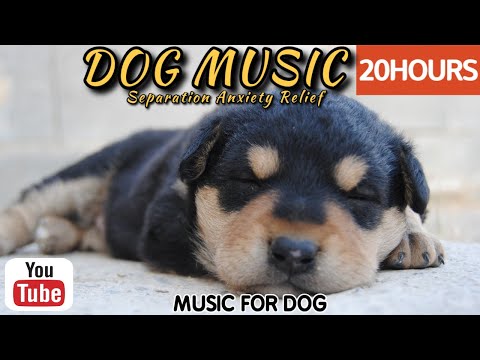 Видео: 20 часов любимой музыки собак🐶💖Музыка для сна собак 🐶🎵 Музыка для снятия беспокойства при разлуке🎵