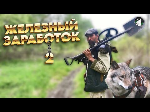 Видео: Как мы зарабатываем с волком на мясо копая металл