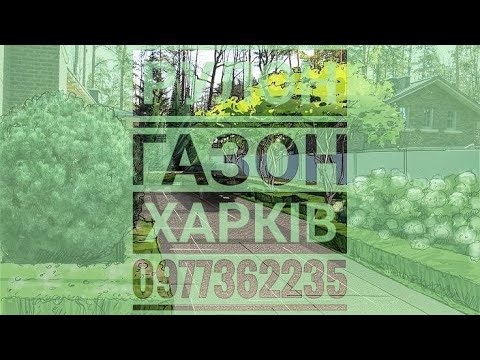 Видео: 🇺🇦ландшафтний дизайн Харків