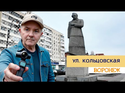 Видео: Воронеж ул. Кольцовская 03.01.25г
