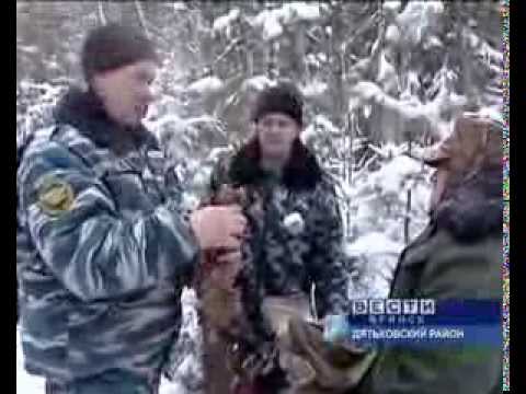Видео: Борьба с Браконьерством Брянск